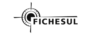 Fichesul